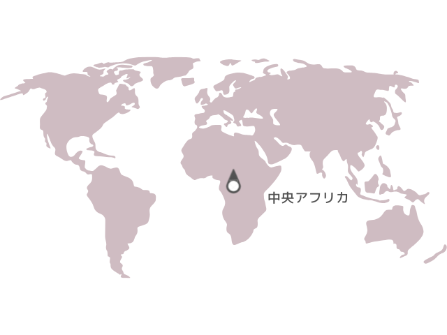 中央アフリカ